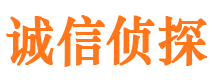 玄武市侦探调查公司